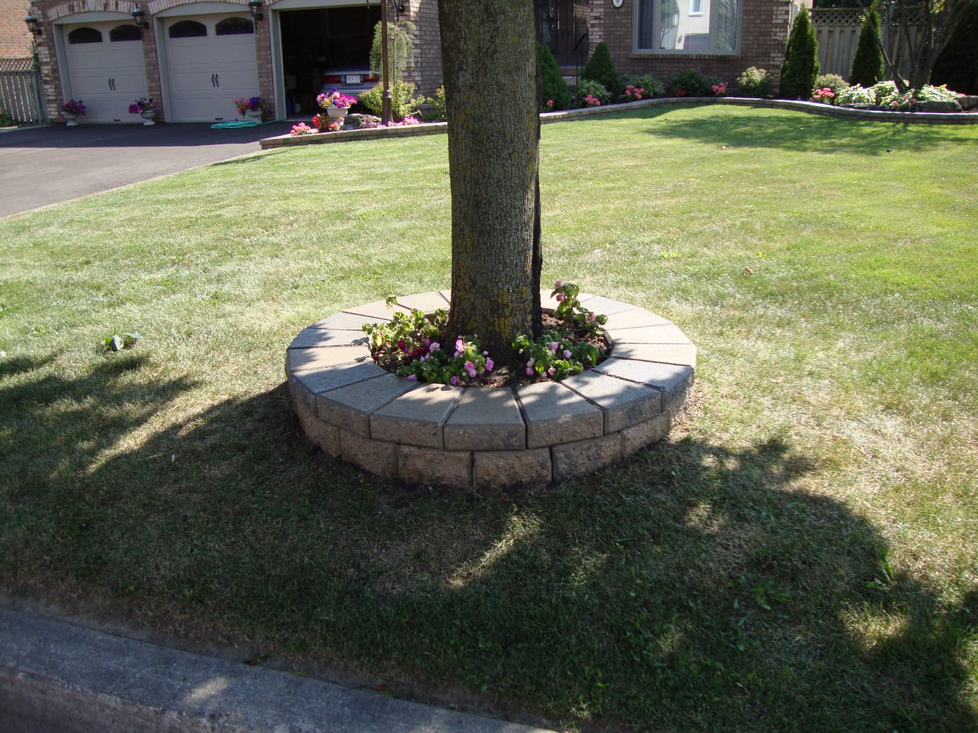 Finished landscape at showcase residence
