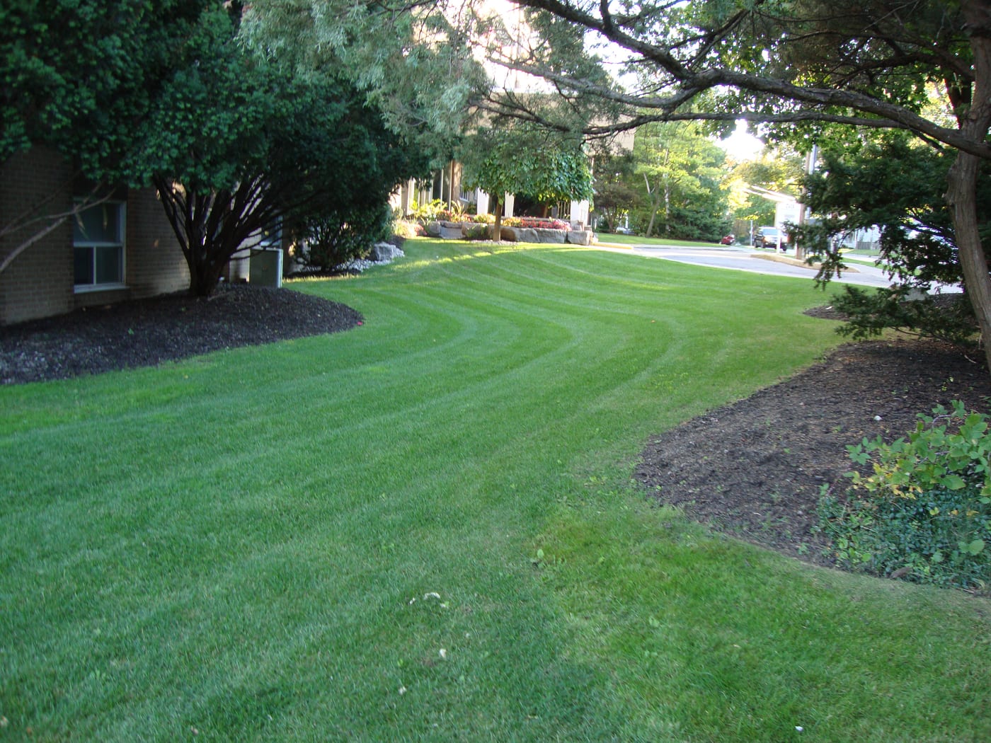 Apartment building walks, borders and entry planting
