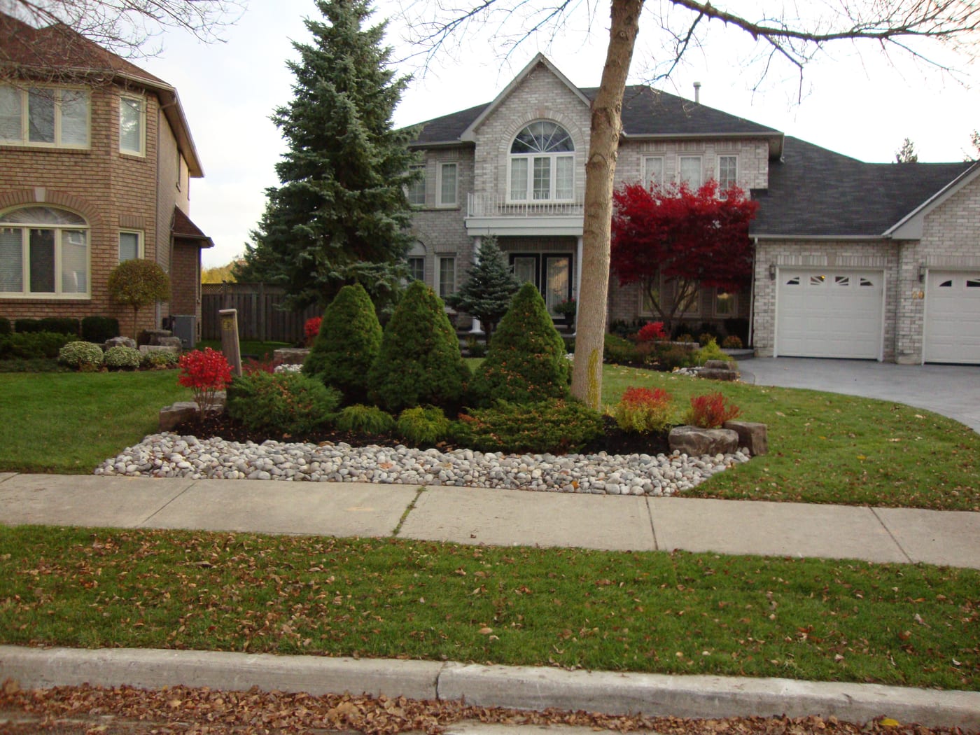 Garden Beds & Lawn Refresh