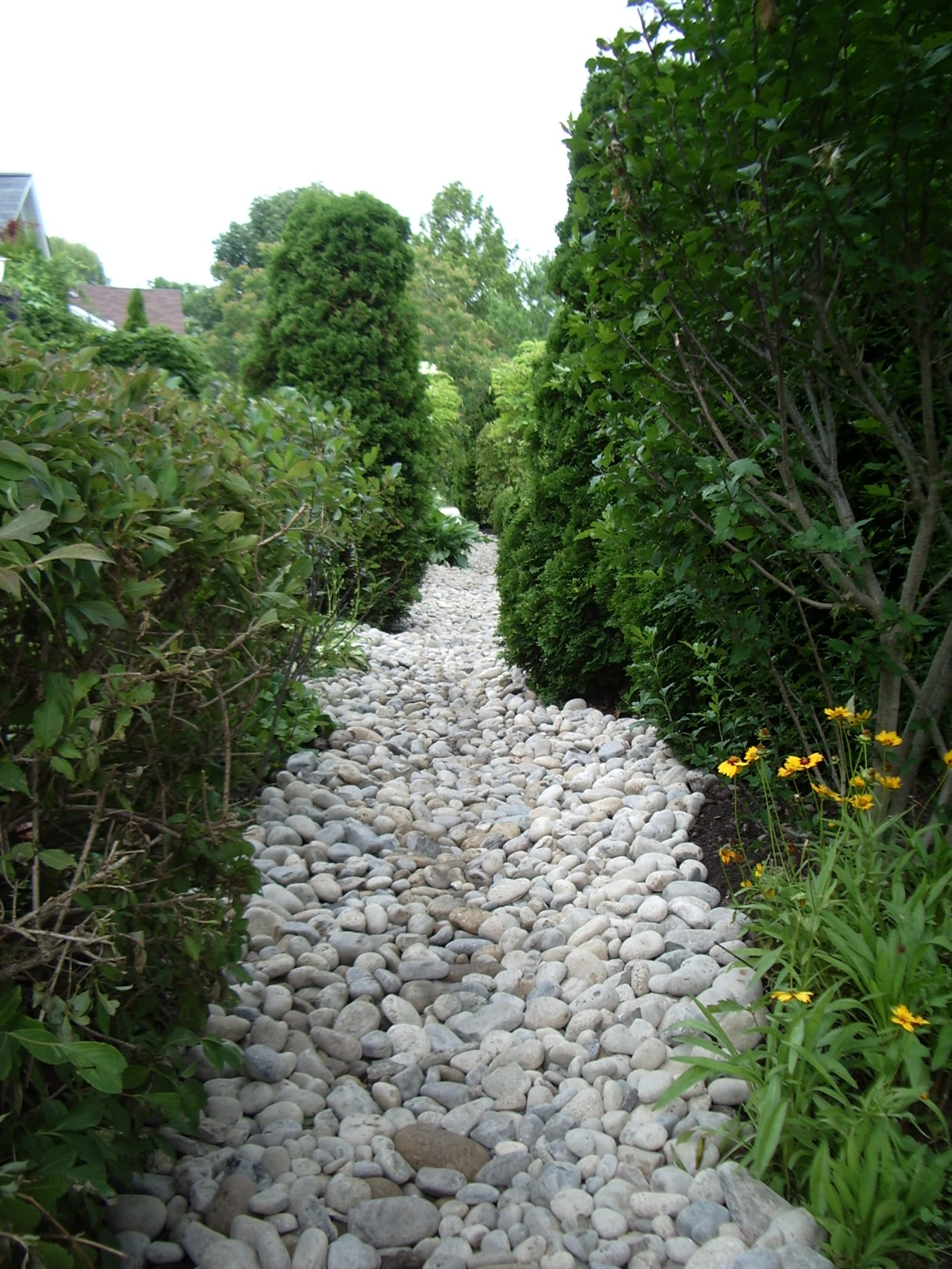 Rock path and garden planting at a Mississauga residence