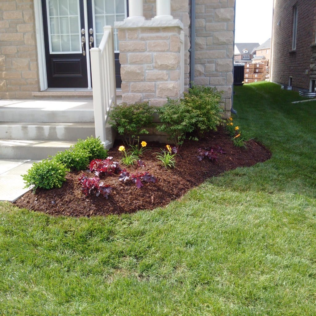 Planted garden beds and lawn as part of finished softscaping